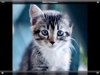 Imagen 1 para Retina Walls