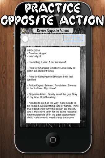 Imagen 6 para DBT Emotion Regulation To…