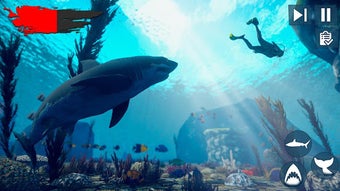 Image 0 for Raft Survival Angry Shark…