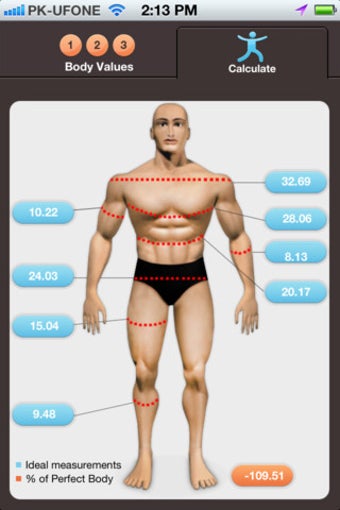 Image 2 for The Perfect Body