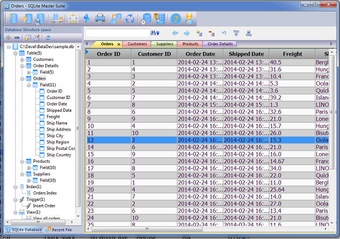 Imagen 0 para SQLite Master Suite
