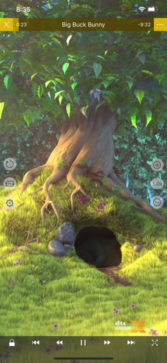 Imagen 3 para nPlayer