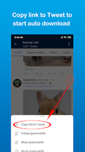 Image 3 for JetDownloader - Video Dow…