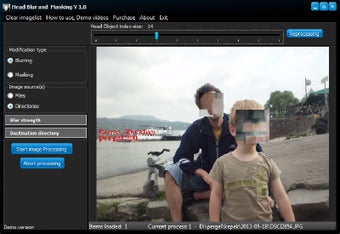 Image 0 for Head Blur and Masking