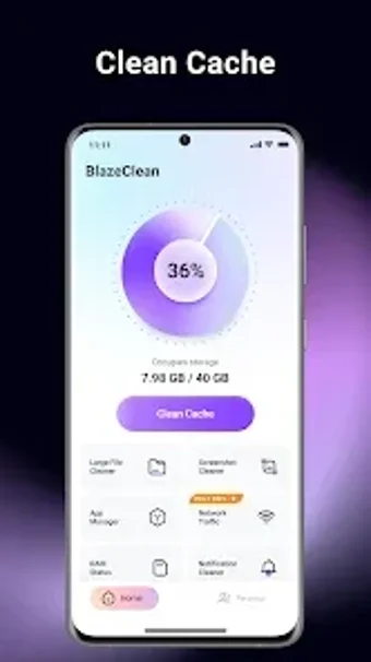Image 0 for BlazeClean