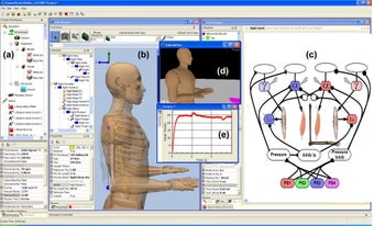 Imagen 0 para AnimatLab