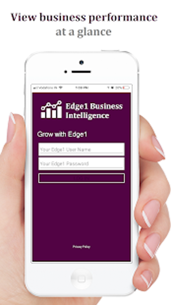 Imagen 1 para Edge1 BI: Data Analytics