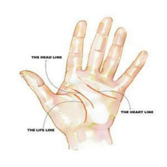 Image 1 for Palm reading  (Guide)
