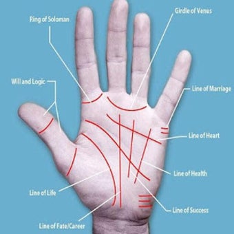 Image 0 for Palm reading  (Guide)
