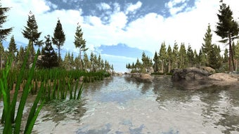 Imagen 0 para VR Forest Relaxation Walk…