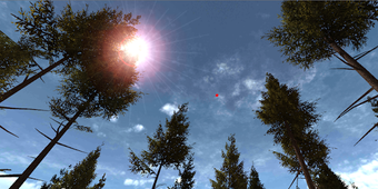 Imagen 1 para VR Forest Relaxation Walk…