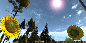 Imagen 2 para VR Forest Relaxation Walk…
