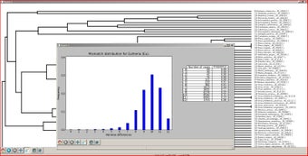 Image 0 for SPInDel workbench