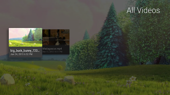 Image 0 for USB Media for Nexus Playe…