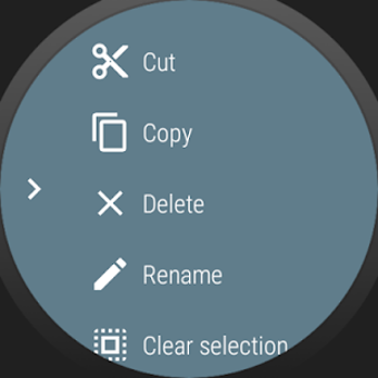 Image 0 for Wear File Manager - beta