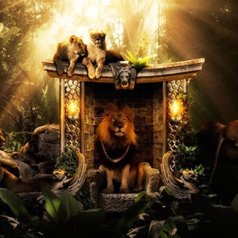 Imagen 1 para Lion Live Wallpaper