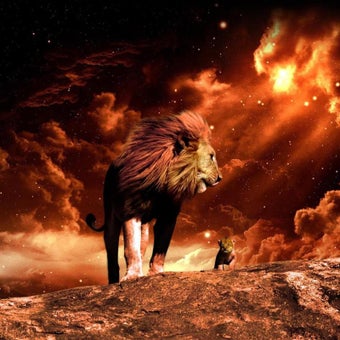 Imagen 1 para Lion Live Wallpaper