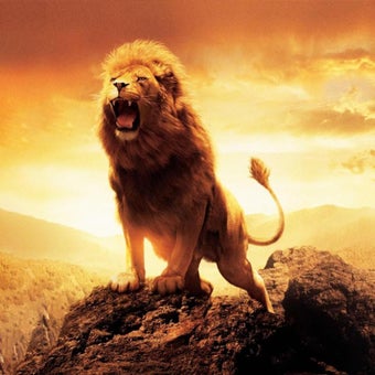 Imagen 2 para Lion Live Wallpaper