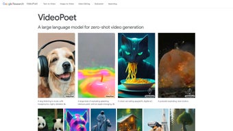 Image 0 for VideoPoet by Google