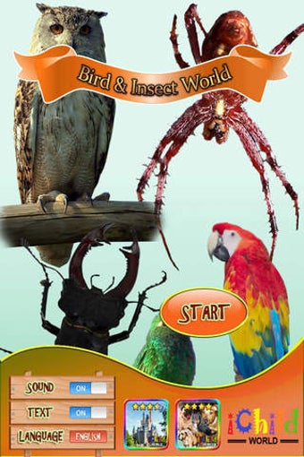 Imagen 0 para Bird & Insect World - Bes…