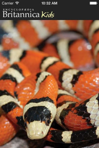 Image 0 for Britannica Kids: Snakes