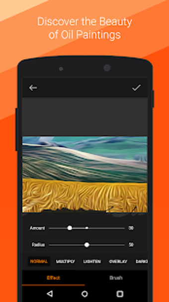 Image 1 for Oil Painting Effect