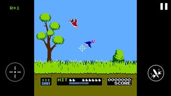 Image 1 for Duck Shooting