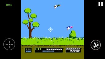 Image 2 for Duck Shooting