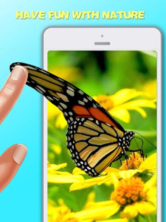 Image 0 for Live Jelly Picture Jellif…