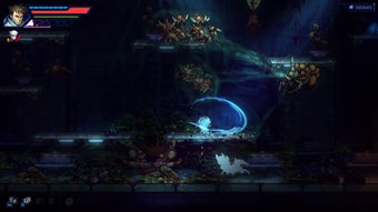 Image 0 for Anima Flux