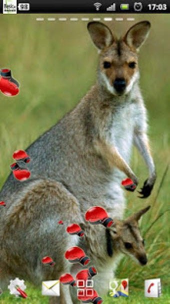 Image 1 for kangaroo live wallpaper