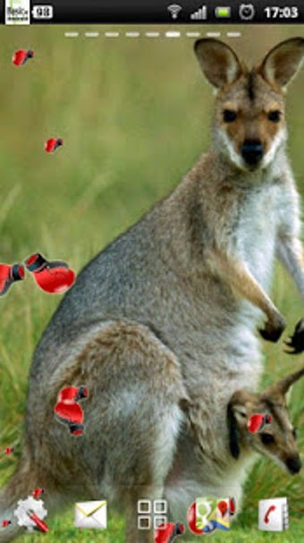 Image 2 for kangaroo live wallpaper