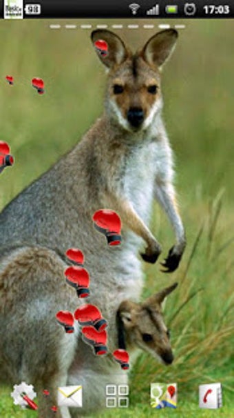 Image 3 for kangaroo live wallpaper