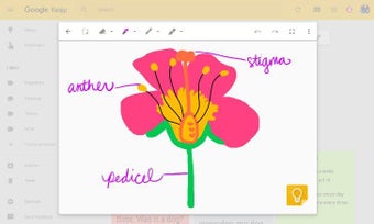 Image 1 for Google Workspace