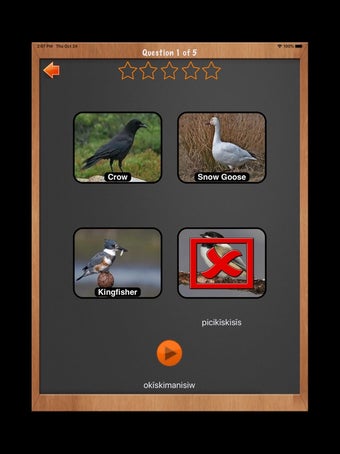 Image 3 for Learn ML Plains Cree