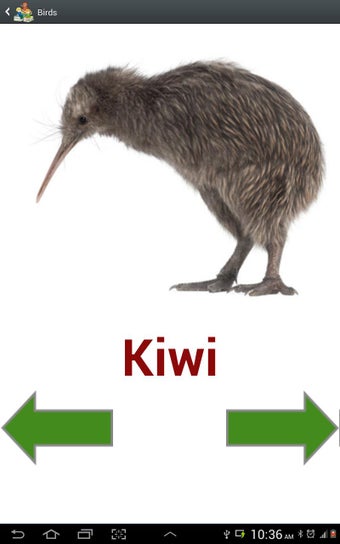 Image 1 for Preschool Basics