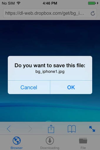 Image 0 for iDownloader (Internet Dow…