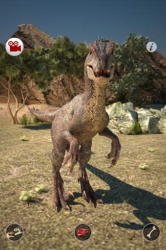 Imagen 0 para Talking Raptor Free