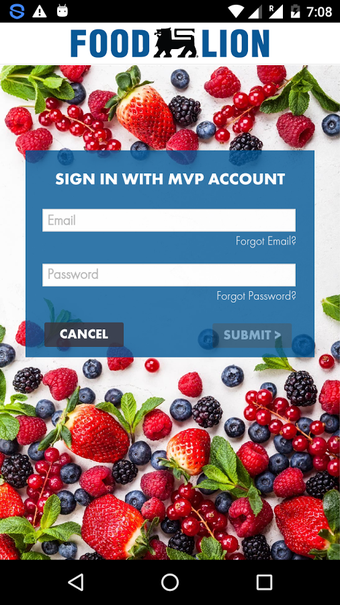 Imagen 2 para Food Lion