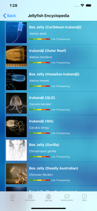 Image 2 for The Jellyfish App Pro