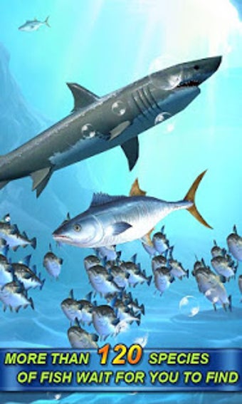Image 1 for Thrilling Fish Hook World…