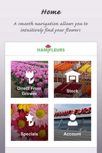Image 0 for Hamifleurs