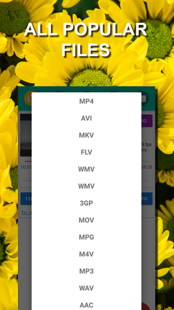 Imagen 0 para MP3 Video Converter Cutte…