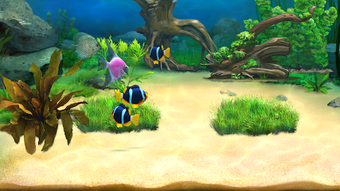 Image 2 for Aquantika