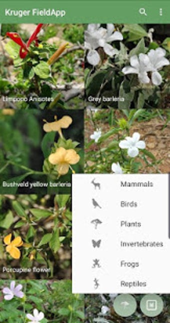 Image 2 for Kruger National Park Fiel…