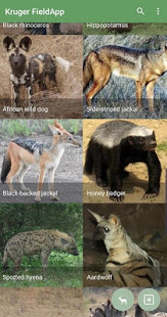 Image 1 for Kruger National Park Fiel…
