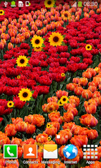 Imagen 3 para Mother's Day Live Wallpap…