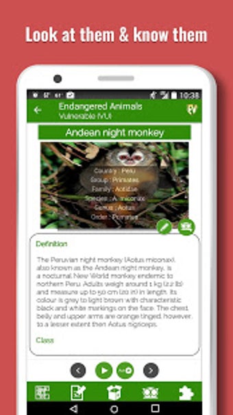 Image 0 for Endangered Animals: Endan…