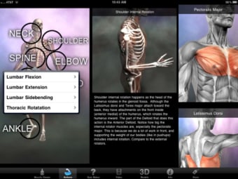 Image 3 for Muscle & Bone Anatomy 3D