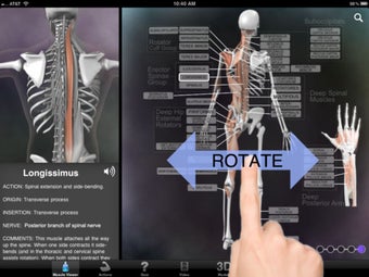 Image 1 for Muscle & Bone Anatomy 3D